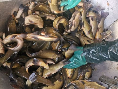 d9a1c99e-3d53-44fa-aebb-3529f5e7b717 (1).jpg